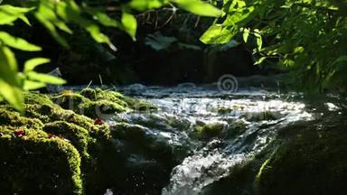 详细查看美丽的瀑布在普利<strong>特</strong>维国家公园，克罗地亚